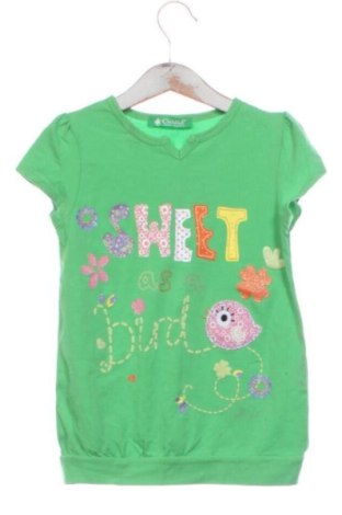 Kinder T-Shirt Cichlid, Größe 3-4y/ 104-110 cm, Farbe Grün, Preis 6,00 €, #137446578