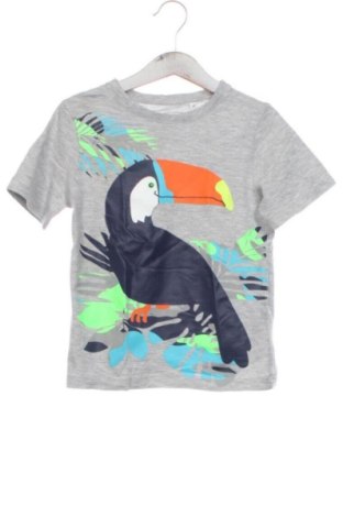 Kinder T-Shirt Palomino, Größe 5-6y/ 116-122 cm, Farbe Grau, Preis 6,00 €, #137456667