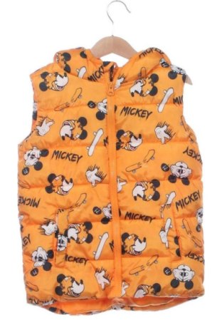 Vestă pentru copii Sinsay, Mărime 6-7y/ 122-128 cm, Culoare Multicolor, Preț 47,24 Lei, #137464653