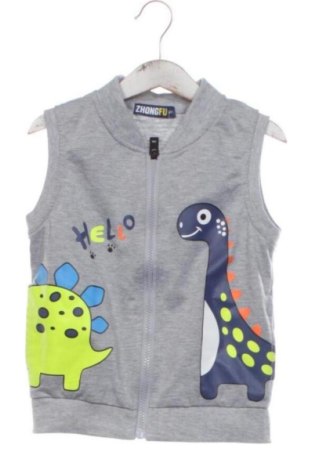 Детски елек Unbranded, Размер 5-6y/ 116-122 см, Цвят Сив, Цена 8,00 €, #137460094