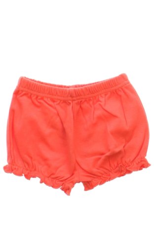 Pantaloni scurți pentru copii Jacky, Mărime 6-9m/ 68-74 cm, Culoare Portocaliu, Preț 73,49 Lei, #137463512
