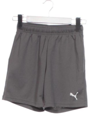 Kinder Shorts PUMA, Größe 10-11y/ 146-152 cm, Farbe Grau, Preis € 14,10, #137485572