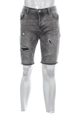Herren Shorts Unbranded, Größe L, Farbe Grau, Preis 20,00 €, #137499308