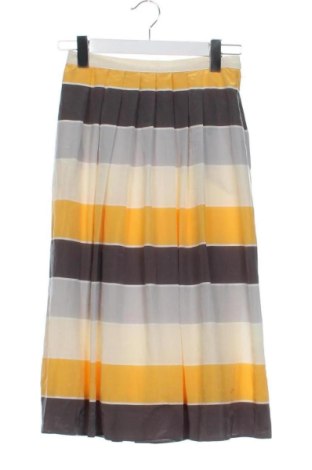 Fustă Unbranded, Mărime XS, Culoare Multicolor, Preț 115,00 Lei, #137447467