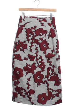 Rock Zara, Größe XS, Farbe Mehrfarbig, Preis 18,00 €, #137476766