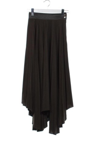 Fustă Massimo Dutti, Mărime XS, Culoare Maro, Preț 199,46 Lei, #137487082