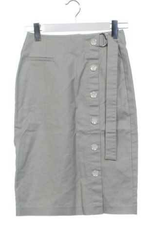 Fustă Sinsay, Mărime XS, Culoare Gri, Preț 26,25 Lei, #137449336