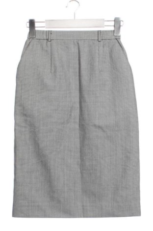 Fustă Unbranded, Mărime XXS, Culoare Multicolor, Preț 54,00 Lei, #137447583