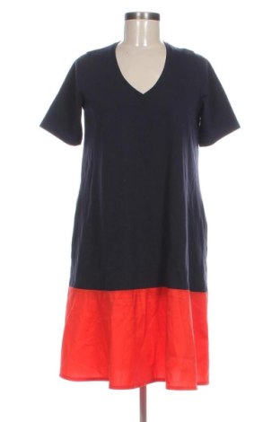 Kleid Cinque, Größe L, Farbe Mehrfarbig, Preis 113,17 €, #137477268