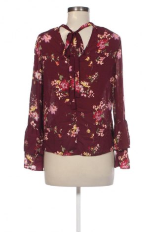 Γυναικεία μπλούζα Berenice, Μέγεθος M, Χρώμα Πολύχρωμο, Τιμή 1,99 €