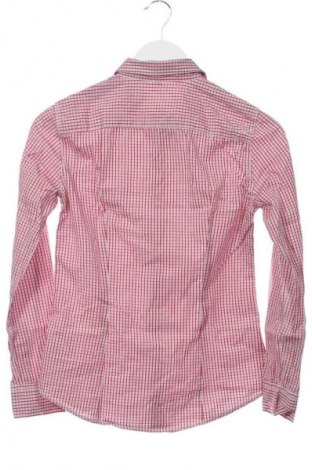 Damenbluse Massimo Dutti, Größe S, Farbe Mehrfarbig, Preis € 31,99