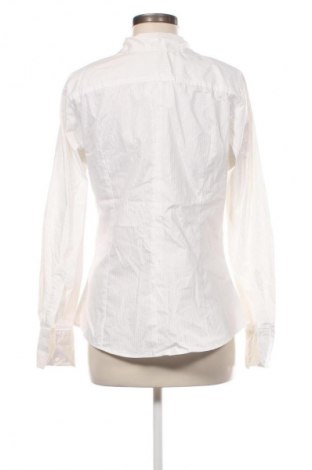 Damska koszula TCM, Rozmiar XL, Kolor Kolorowy, Cena 27,01 zł