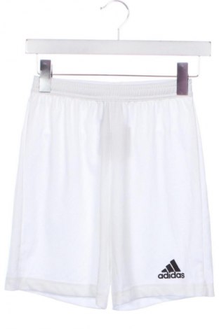 Damen Shorts Adidas, Größe XS, Farbe Weiß, Preis 12,78 €
