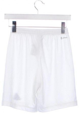Damen Shorts Adidas, Größe XS, Farbe Weiß, Preis 12,78 €