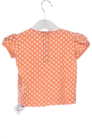 Dziecięca bluzka Marks & Spencer, Rozmiar 6-9m/ 68-74 cm, Kolor Kolorowy, Cena 6,99 zł