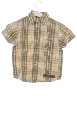 Dziecięca koszula WE, Rozmiar 2-3y/ 98-104 cm, Kolor Kolorowy, Cena 6,99 zł