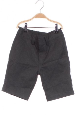 Dziecięce szorty Next, Rozmiar 5-6y/ 116-122 cm, Kolor Szary, Cena 41,38 zł