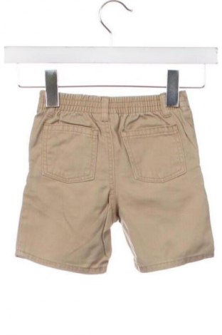 Dziecięce szorty Tommy Hilfiger, Rozmiar 2-3m/ 56-62 cm, Kolor Brązowy, Cena 38,14 zł