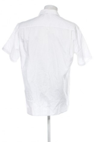 Herrenhemd Olymp, Größe L, Farbe Weiß, Preis € 14,99