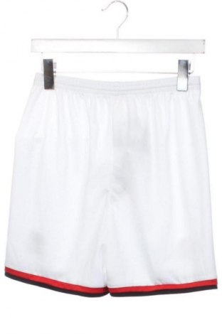 Мъжки къс панталон Errea, Размер XS, Цвят Многоцветен, Цена 27,69 €