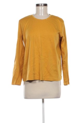 Dámská halenka Clarina Collection, Velikost XL, Barva Žlutá, Cena  194,00 Kč, #137524119