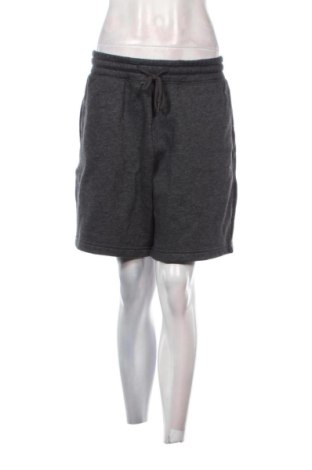 Damen Shorts Hollister, Größe XL, Farbe Grau, Preis € 17,99, #137505729