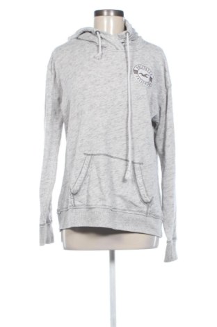 Dámska mikina  Hollister, Veľkosť L, Farba Sivá, Cena  16,00 €, #137533319