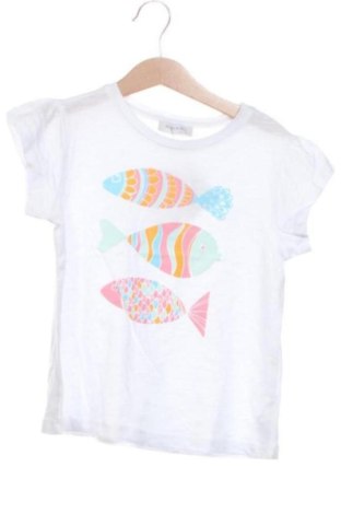 Kinder T-Shirt Unbranded, Größe 4-5y/ 110-116 cm, Farbe Mehrfarbig, Preis 7,00 €, #137534433
