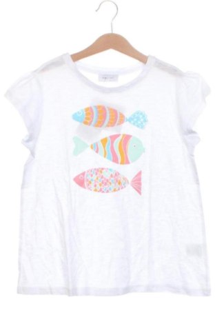 Kinder T-Shirt Unbranded, Größe 8-9y/ 134-140 cm, Farbe Mehrfarbig, Preis 8,00 €, #137534472