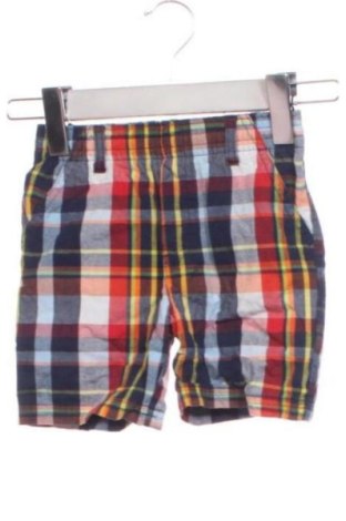 Kinder Shorts Garanimals, Größe 18-24m/ 86-98 cm, Farbe Mehrfarbig, Preis 8,00 €, #137533876