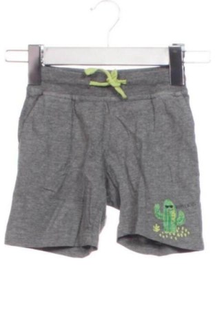 Детски къс панталон Lupilu, Размер 4-5y/ 110-116 см, Цвят Сив, Цена 5,72 €, #137542764
