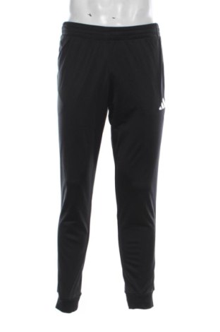Herren Sporthose Adidas, Größe S, Farbe Schwarz, Preis € 55,99, #137512005