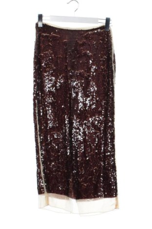 Fustă Zara, Mărime XS, Culoare Maro, Preț 100,00 Lei, #137492669