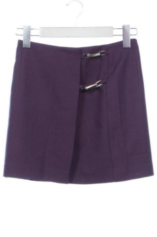 Fustă Unbranded, Mărime XS, Culoare Mov, Preț 55,33 Lei, #137513176
