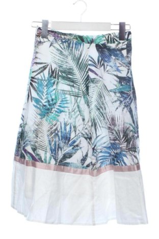 Fustă Etere, Mărime XS, Culoare Multicolor, Preț 87,87 Lei, #137518584