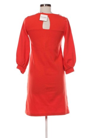 Sukienka Massimo Dutti, Rozmiar S, Kolor Czerwony, Cena 139,00 zł, #137545333
