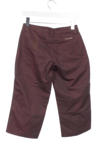 Γυναικείο παντελόνι Craghoppers, Μέγεθος XS, Χρώμα Καφέ, Τιμή 1,99 €