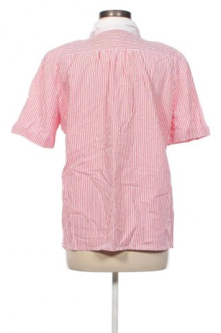 Damska koszula Van Laack, Rozmiar L, Kolor Kolorowy, Cena 22,47 zł