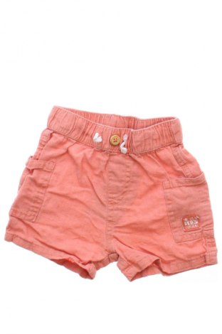 Dziecięce szorty Pepco, Rozmiar 9-12m/ 74-80 cm, Kolor Czerwony, Cena 6,99 zł