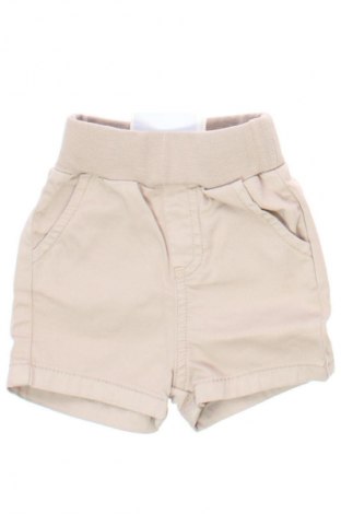 Dziecięce szorty Steiff, Rozmiar 0-1m/ 50 cm, Kolor Beżowy, Cena 40,99 zł