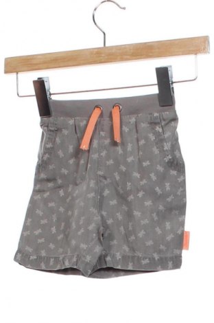 Dziecięce szorty Sterntaler, Rozmiar 12-18m/ 80-86 cm, Kolor Szary, Cena 75,99 zł
