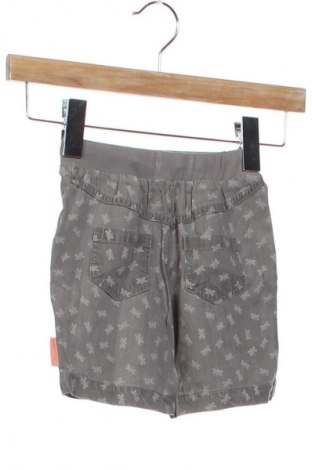 Dziecięce szorty Sterntaler, Rozmiar 12-18m/ 80-86 cm, Kolor Szary, Cena 75,99 zł