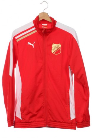 Dziecięca sportowa bluza PUMA, Rozmiar 15-18y/ 170-176 cm, Kolor Kolorowy, Cena 92,62 zł