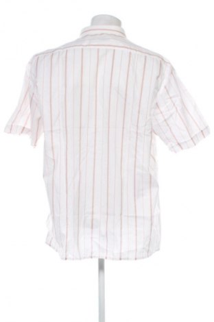 Herrenhemd Unbranded, Größe XL, Farbe Mehrfarbig, Preis € 5,99