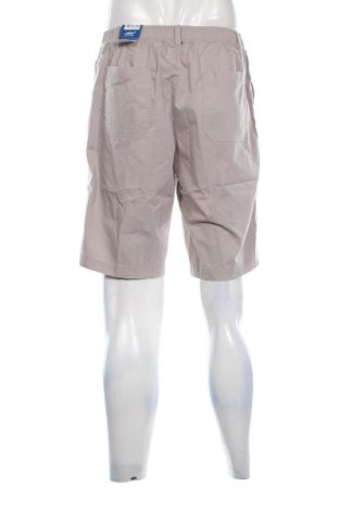 Herren Shorts Joy, Größe L, Farbe Grau, Preis € 10,99