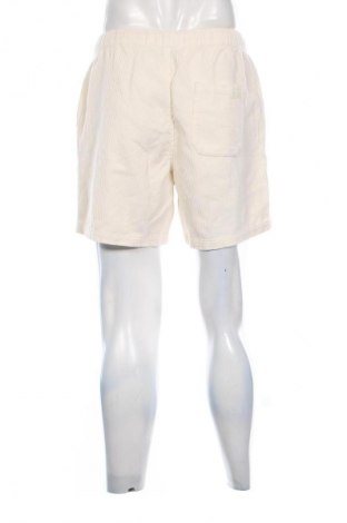 Herren Shorts Shiwi, Größe M, Farbe Ecru, Preis € 34,99