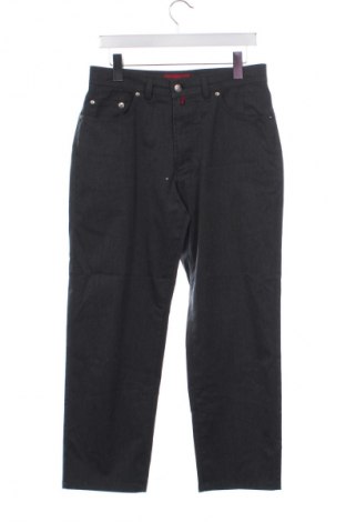 Herrenhose Pierre Cardin, Größe S, Farbe Grau, Preis € 5,99