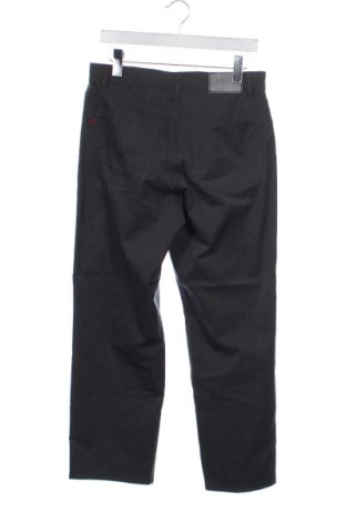 Herrenhose Pierre Cardin, Größe S, Farbe Grau, Preis € 5,99