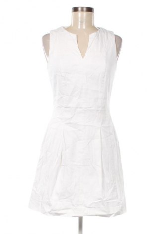 Kleid Calvin Klein, Größe M, Farbe Weiß, Preis 49,99 €