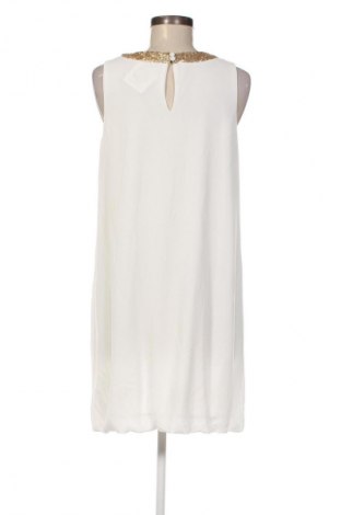 Kleid Laura Torelli, Größe S, Farbe Mehrfarbig, Preis € 3,99